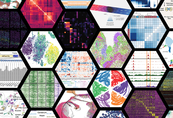 Next-Generation Genomics 2021