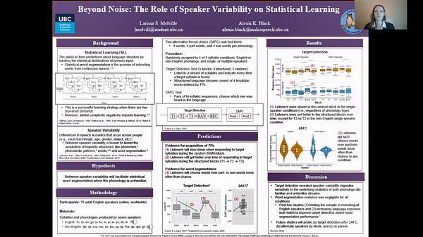 Beyond Noise: The Role of Speaker Variability on Statistical Learning