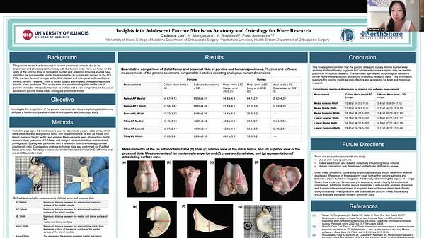Insights into Adolescent Porcine Meniscus Anatomy and Osteology for Knee Research