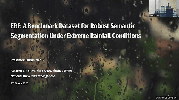 ERF: A Benchmark Dataset for Robust Semantic Segmentation Under Extreme Rainfall Conditions