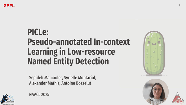PICLe: Pseudo-annotations for In-Context Learning in Low-Resource Named Entity Detection