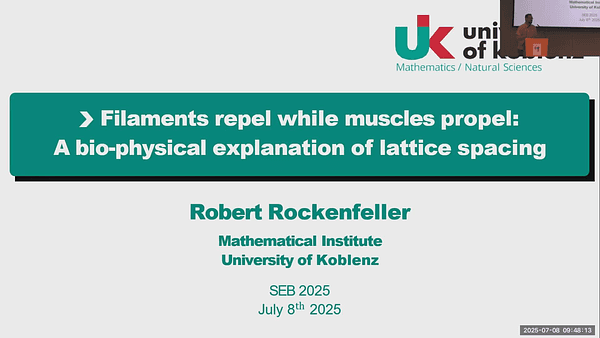 Filaments repel while muscles propel: A bio-physical explanation of lattice spacing