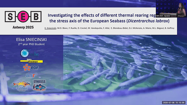 Investigating the effects of different thermal rearing regimes on the stress axis of the European seabass (Dicentrarchus labrax)