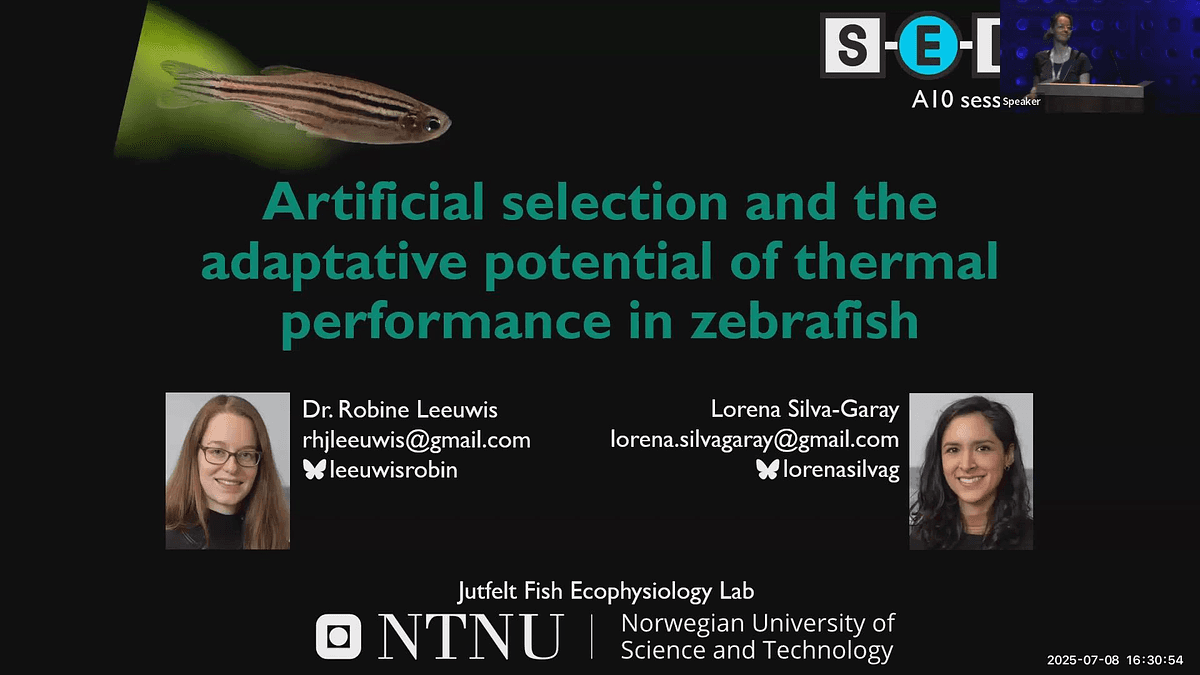 Lecture image placeholder