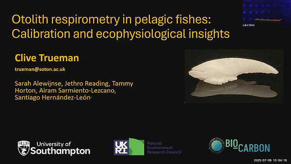 Otolith respirometry in pelagic fishes: Calibration and ecophysiological insights