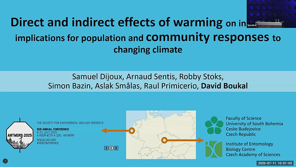 Indirect effects of warming-induced body size reductions versus direct kinetic effects of warming: implications for population and community responses to changing climate