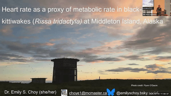 Heart rate as a proxy of metabolic rate in black-legged kittiwakes (Rissa tridactyla)at Middleton Island, Alaska