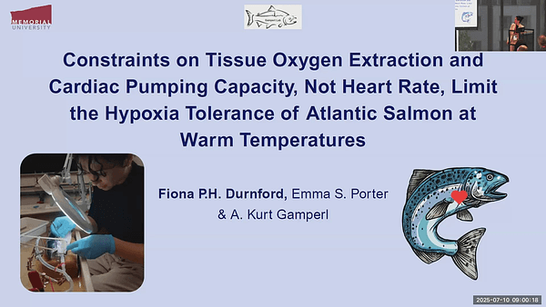 Constraints on Cardiac Pumping Capacity and Tissue Oxygen Extraction, Not Heart Rate, Limit Hypoxia Tolerance of Salmon at Warm Temperatures