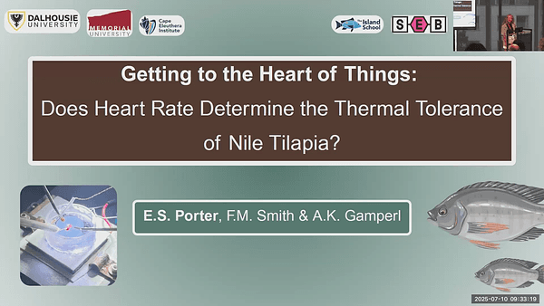 Getting to the Heart of Things: Does Heart Rate Determine the Thermal Tolerance of Nile Tilapia (Oreochromis niloticus)?