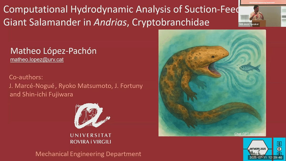 Lecture image placeholder