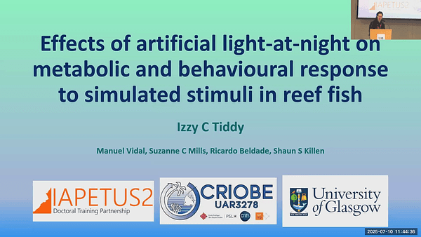 Effects of artificial light-at-night on metabolic and behavioural response to simulated stimuli in reef fish 