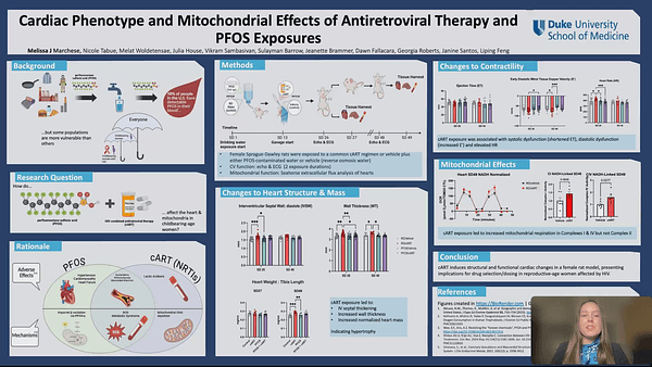 Cardiac Phenotype and Mitochondrial Effects of Antiretroviral Therapy and PFAS Exposures