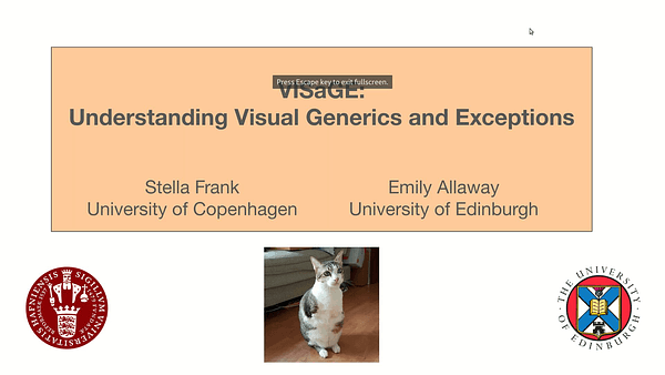 VISaGE: Understanding Visual Generics and Exceptions