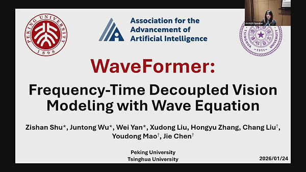 WaveFormer: Frequency-Time Decoupled Vision Modeling with Wave Equation