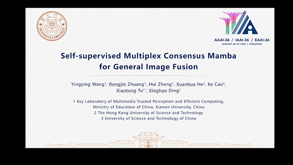 Self-supervised Multiplex Consensus Mamba for General Image Fusion