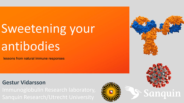 Sweetening your antibodies: lessons from natural immune responses