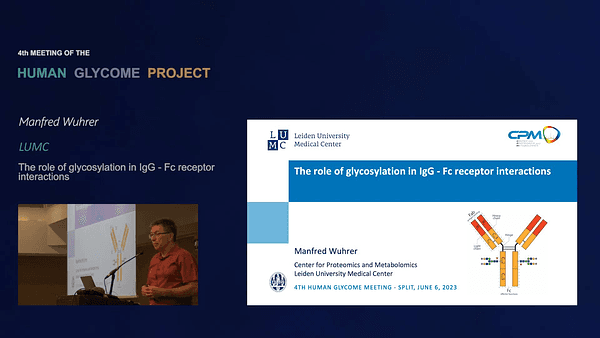 The role of glycosylation in IgG - Fc receptor interactions