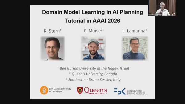 Domain Model Learning for Automated Planning: Active Learning and Open Challenges 