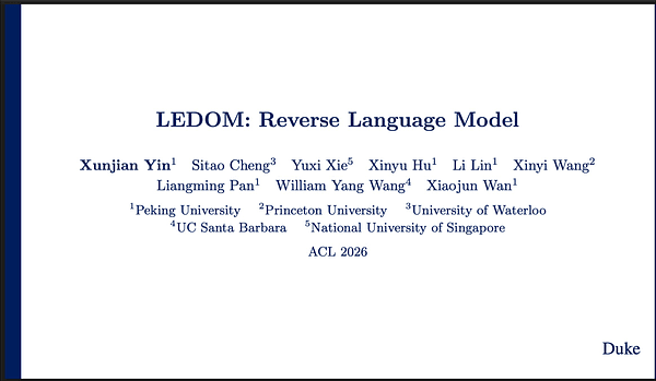 LEDOM: Reverse Language Model