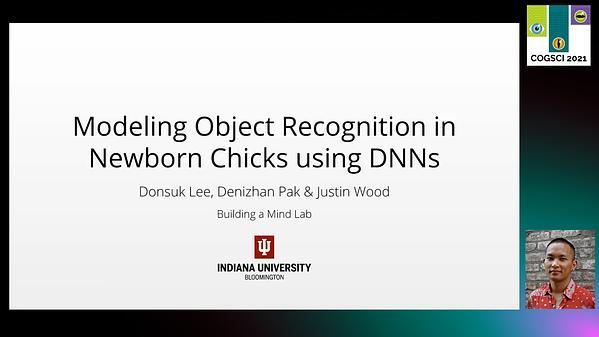 Modeling Object Recognition in Newborn Chicks using Deep Neural Networks