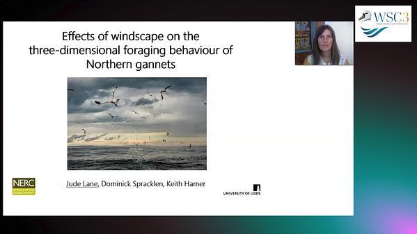 Effects of windscape on three-dimensional foraging behaviour in a wide-ranging marine predator, the northern gannet