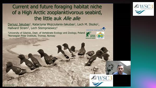 Current and future foraging habitat niche of a High Arctic zooplanktivorous seabird, the little auk Alle alle