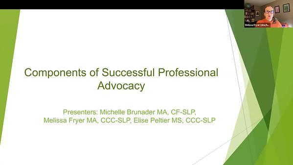 Components of Successful Professional Advocacy