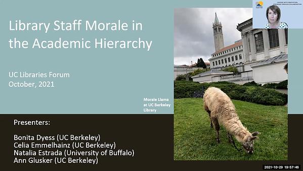 Library Staff Morale in the Academic Hierarchy;