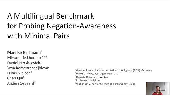 A Multilingual Benchmark for Probing Negation-Awareness with Minimal Pairs