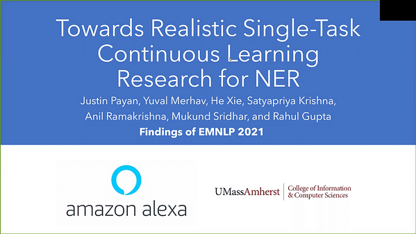 Towards Realistic Single-Task Continuous Learning Research for NER