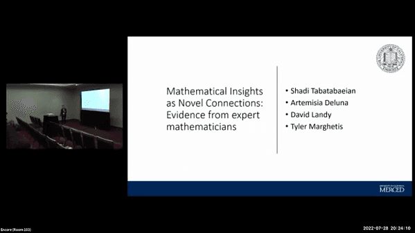 Mathematical insights as novel connections: Evidence from expert mathematicians