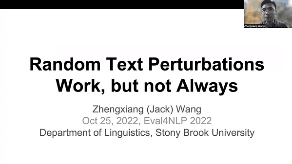 Random Text Perturbations Work, but not Always
