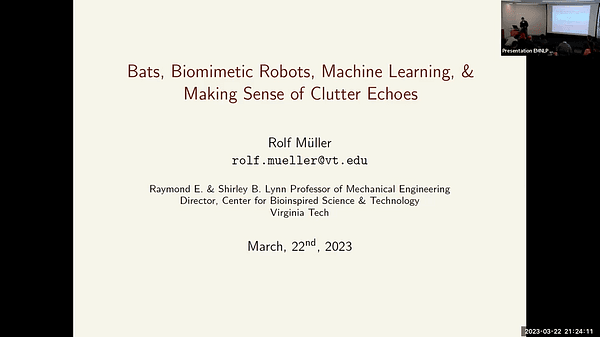 Bats, Biomimetic Robots, Machine Learning, and Making Sense of Clutter Echoes
