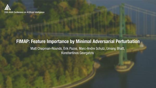 FIMAP: Feature Importance by Minimal Adversarial Perturbation