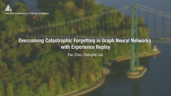 Overcoming Catastrophic Forgetting in Graph Neural Networks with Experience Replay