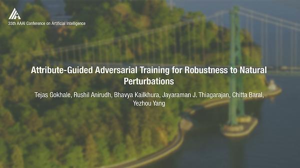 Attribute-Guided Adversarial Training for Robustness to Natural Perturbations