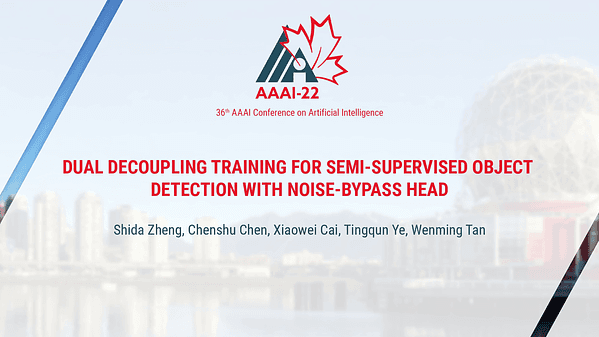 Dual Decoupling Training for Semi-Supervised Object Detection with Noise-Bypass Head