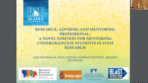 Research, Advising, and Mentoring Professionals: A novel position for mentoring undergraduate students in STEM research