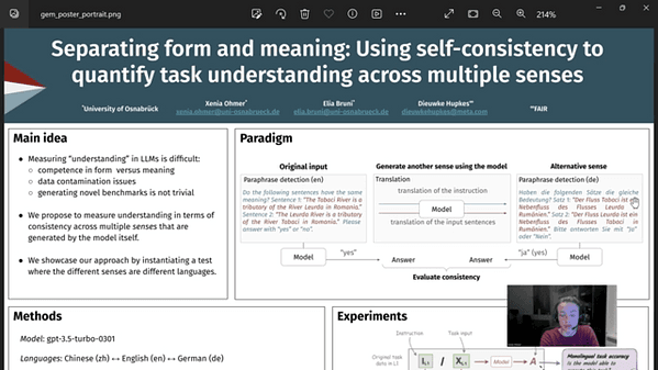 Separating form and meaning: Using self-consistency to quantify task understanding across multiple senses