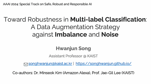 Toward Robustness in Multi-Label Classification: A Data Augmentation Strategy against Imbalance and Noise | VIDEO