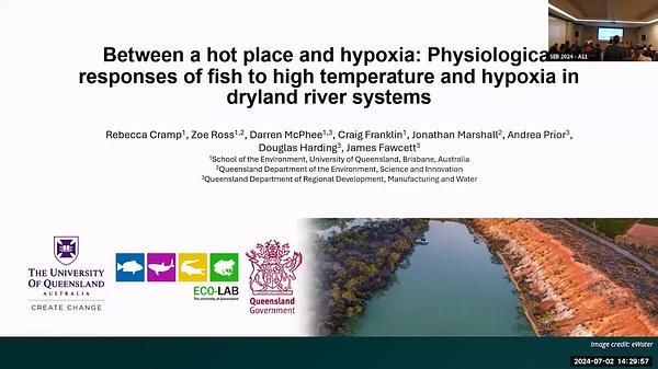 Between a hot place and hypoxia: Physiological responses of fish to high temperature and hypoxia in dryland river systems