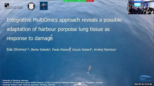 Integrative multi-omics approach reveals a possible adaptation of harbour porpoise lung tissue as response to damage