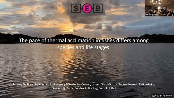Capacity for rapid thermal acclimation differs between life stage and species in fish