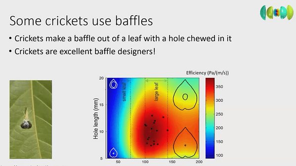 The Ground is Good: A Numerical Approach to Understanding Acoustic Tool Use in Crickets