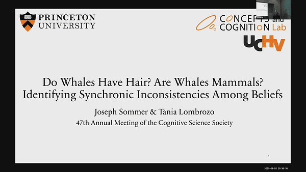 Do Whales Have Hair? Are Whales Mammals? Identifying Synchronic Inconsistencies Among Beliefs