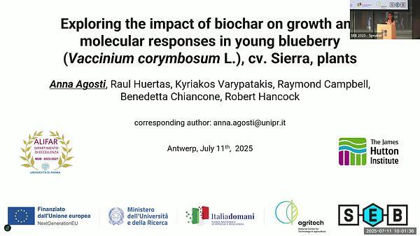 Exploring ABA-Mediated Flood Tolerance Mechanisms in Tomato: Insights from Introgression Lines